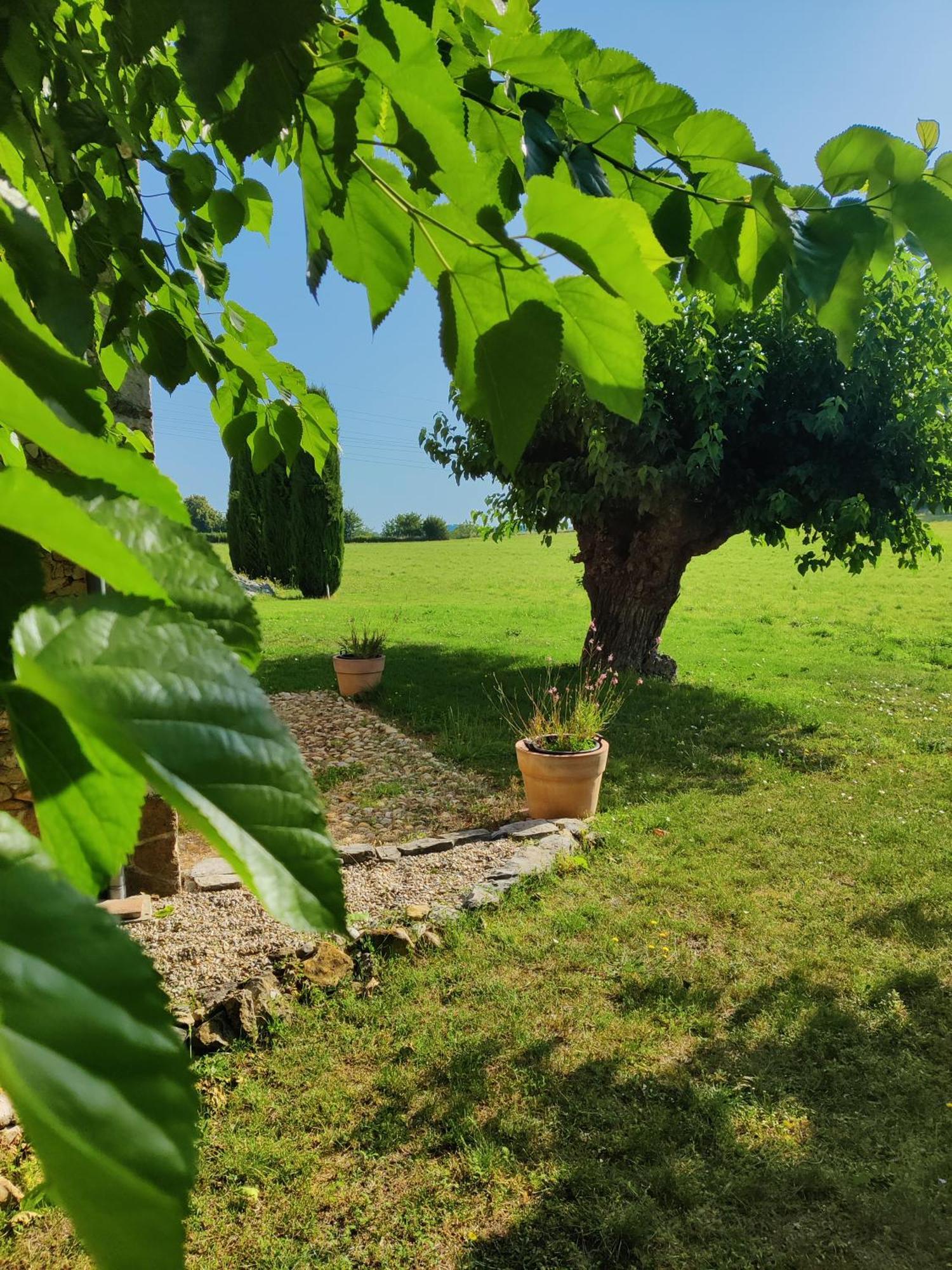 L'Etoffe, Charmante Chambre Dans Un Mas Cevenol Boisset-et-Gaujac Bagian luar foto