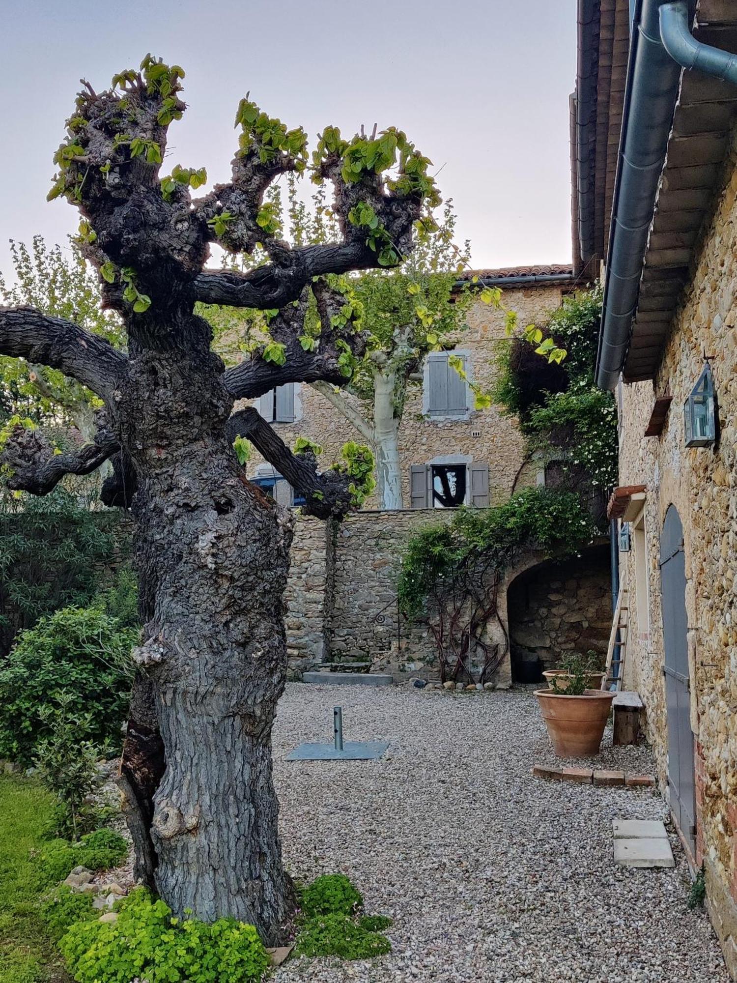 L'Etoffe, Charmante Chambre Dans Un Mas Cevenol Boisset-et-Gaujac Bagian luar foto