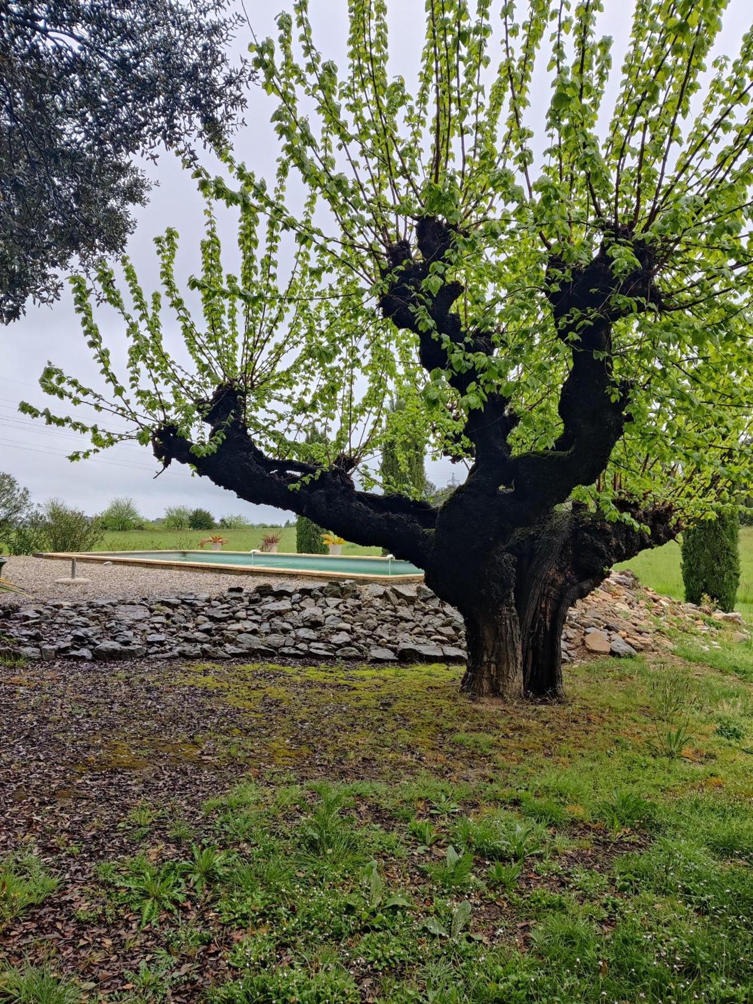 L'Etoffe, Charmante Chambre Dans Un Mas Cevenol Boisset-et-Gaujac Bagian luar foto